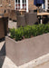 Large trough planters can act as a boundary or wall