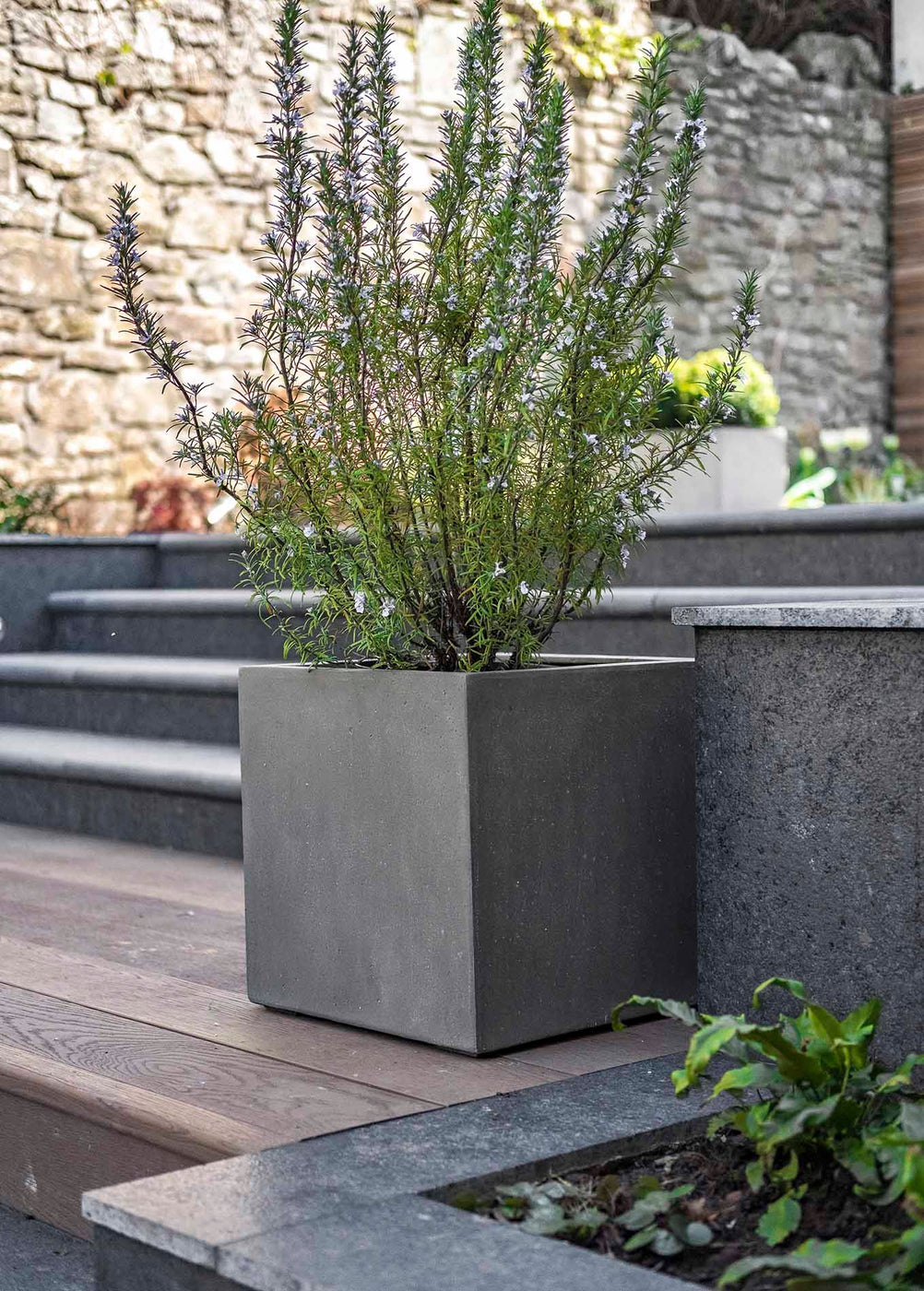 Enclave Cube 400 (H40cm) & Cube 500 (H50cm) Planters - Mid-Grey GRP ...