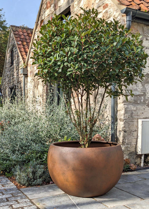 The planter is large enough to take a small tree