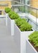High rectangle planters in White aluminium