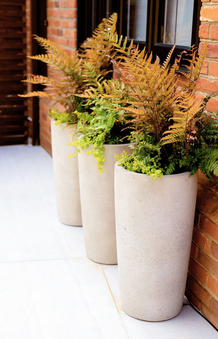 Slim Conical planter, courtesy OK Lister Garden Design