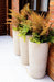 Slim Conical planter, courtesy OK Lister Garden Design