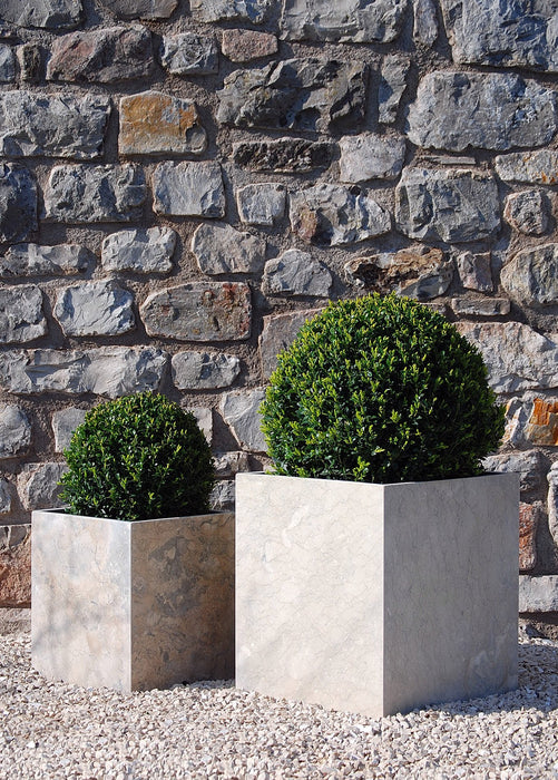 Buxus ball large and small