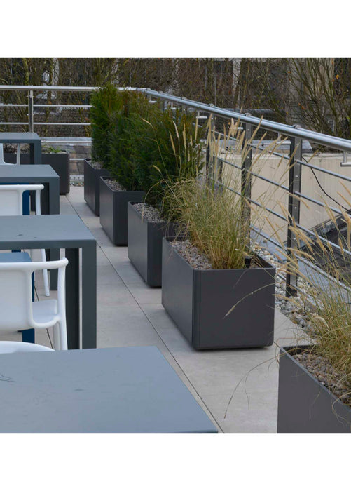 Greening a roof terrace