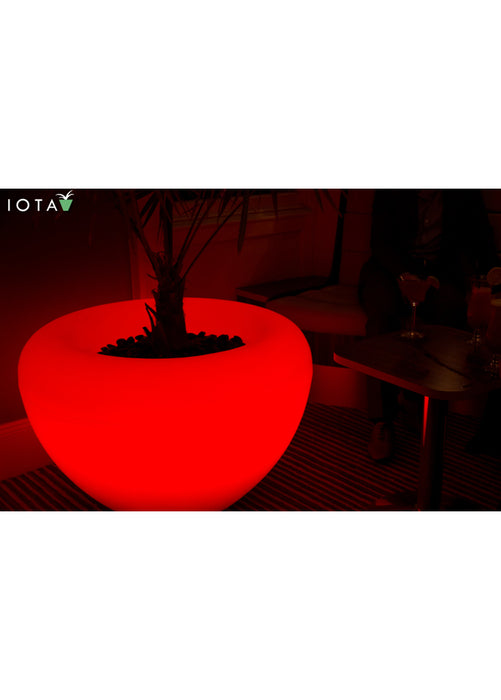 Planter Moodlighting for Businesses