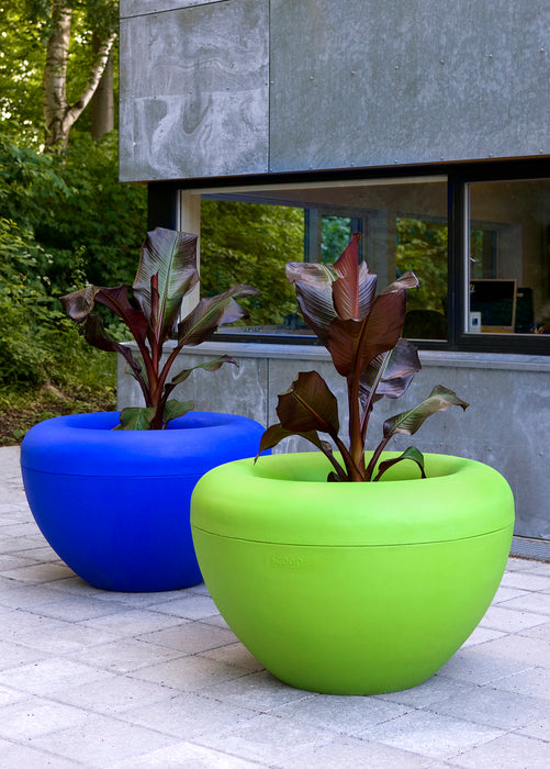 Blue and Green Public Planters
