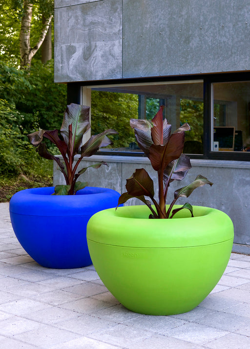 Blue and Green Public Planters