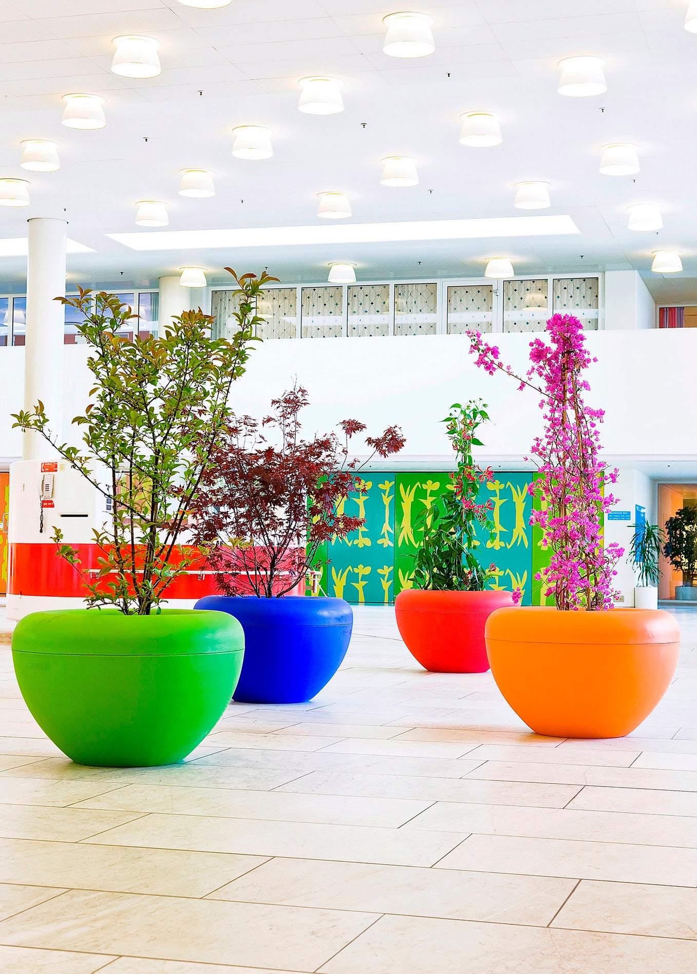 Scoop Colourful Round Tree Planters - IOTA UK