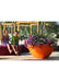 Orange 65cm tall plant pots