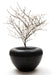 Black scoop tree planter